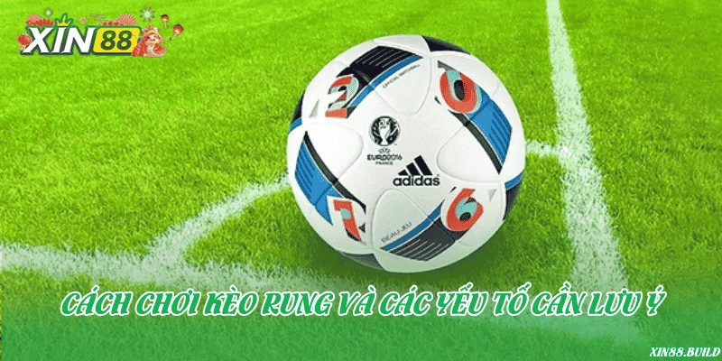 Cách chơi kèo rung và các yếu tố cần lưu ý