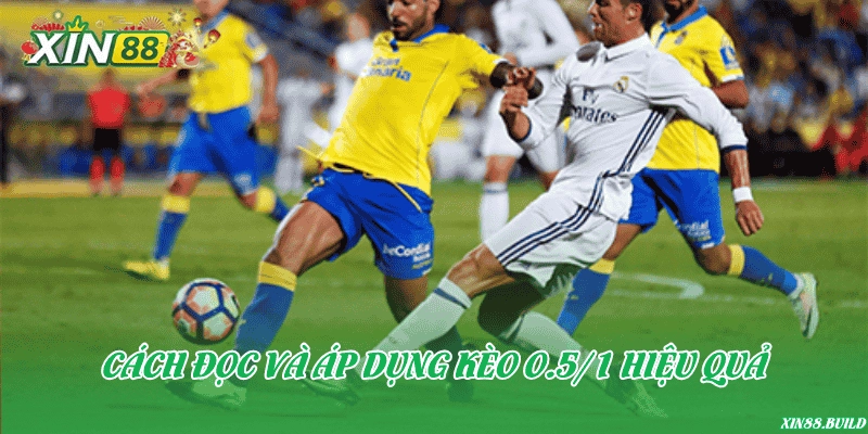 Cách đọc và áp dụng kèo 0.5/1 hiệu quả