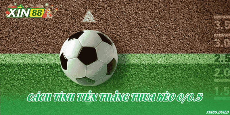 Cách tính tiền thắng thua kèo 0/0.5