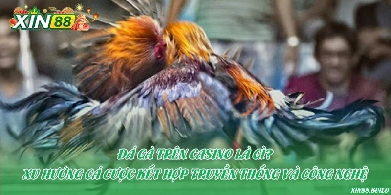 Đá gà trên casino là gì?