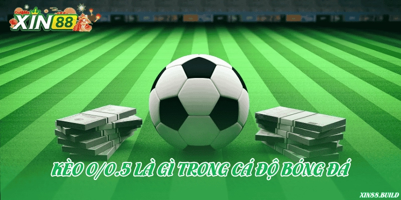 Kèo 0/0.5 là gì trong cá độ bóng đá