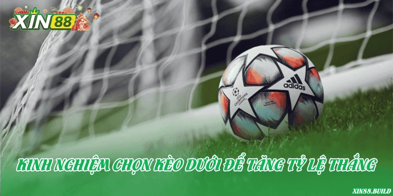 Kinh nghiệm chọn kèo dưới để tăng tỷ lệ thắng